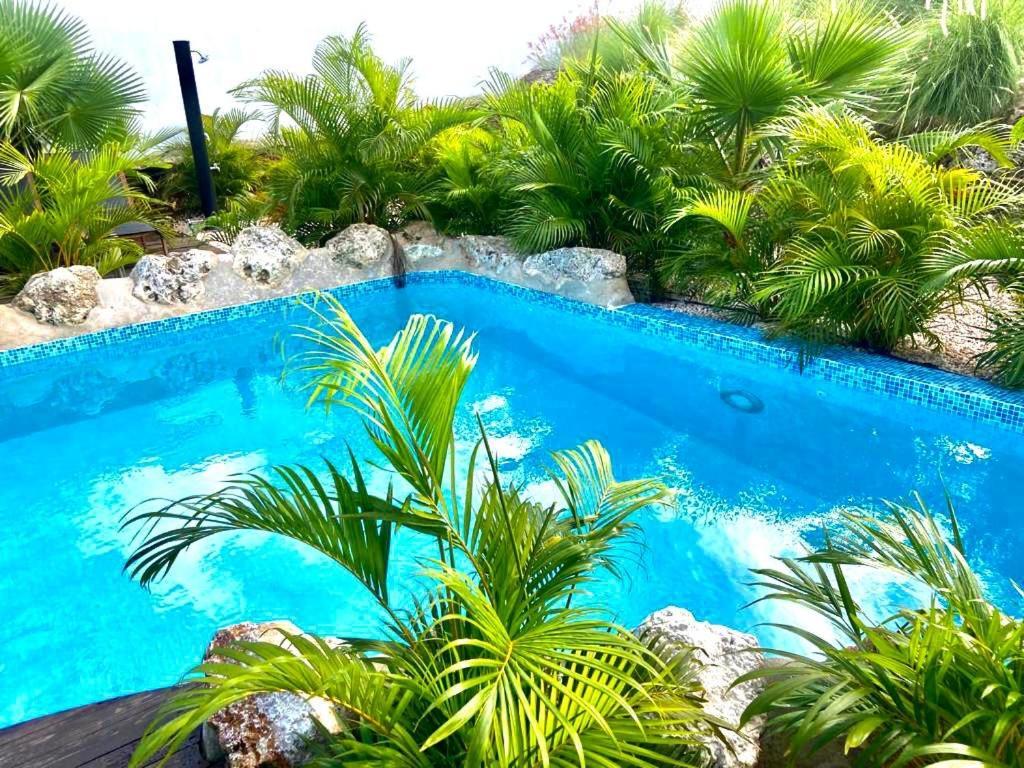 Neue Villa TROPIC PARADISE Willemstad Esterno foto